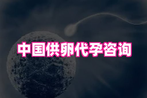 哈尔滨助孕网 1