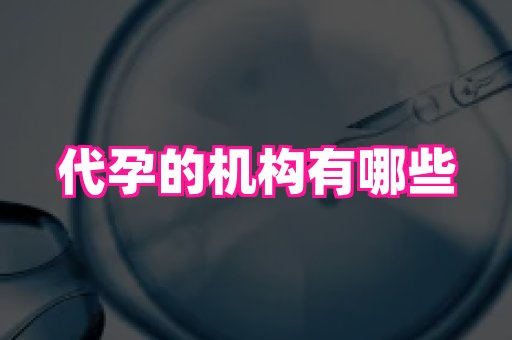 哈尔滨助孕网 2